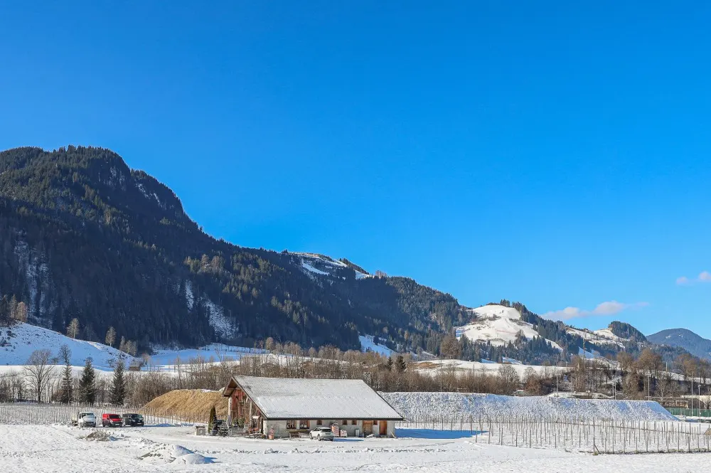 KITZIMMO-exklusive Neubauwohnung mit Hahnenkammblick - Immobilien Kitzbühel.-7