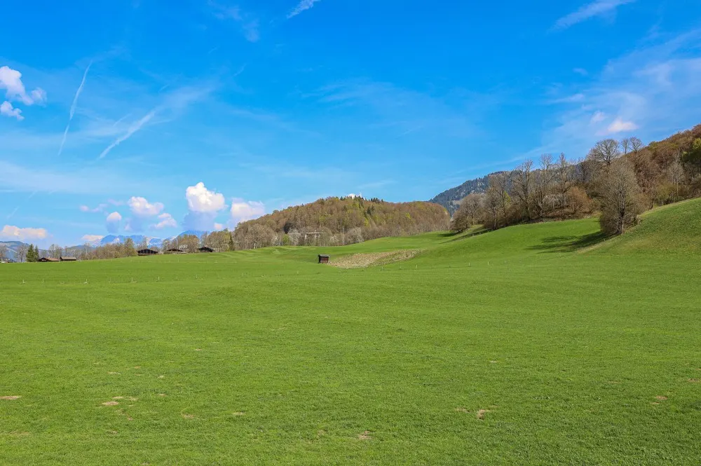 KITZIMMO-Baugrundstück in Toplage kaufen - Immobilien Aurach bei Kitzbühel.