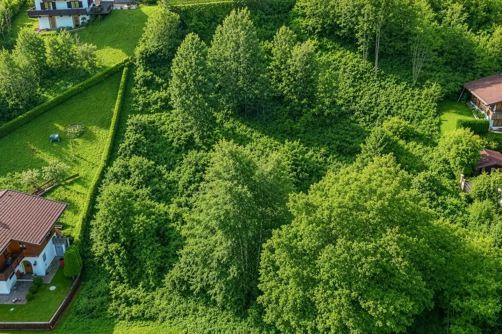 KITZIMMO-Baugrundstück mit Bergblick kaufen - Immobilien Kitzbühel.-8
