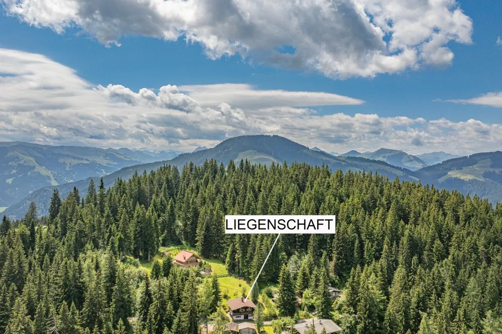 KITZIMMO-Freizeitwohnsitz mit unverbautem Kaiserblick - Ski in / Ski out - Immobilien Ellmau.