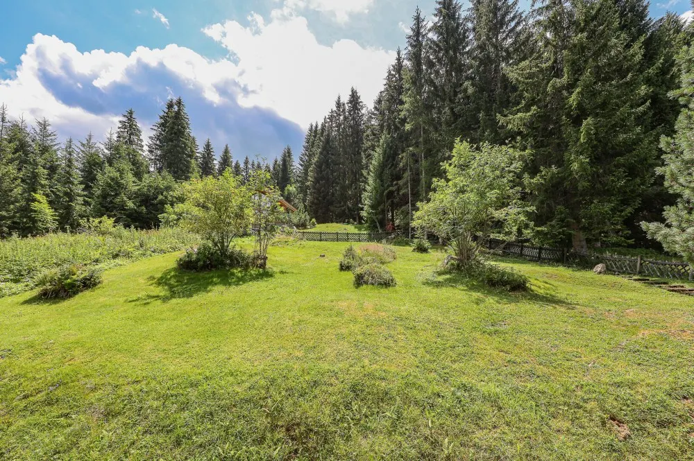 KITZIMMO-Freizeitwohnsitz mit unverbautem Kaiserblick - Ski in / Ski out - Immobilien Ellmau.