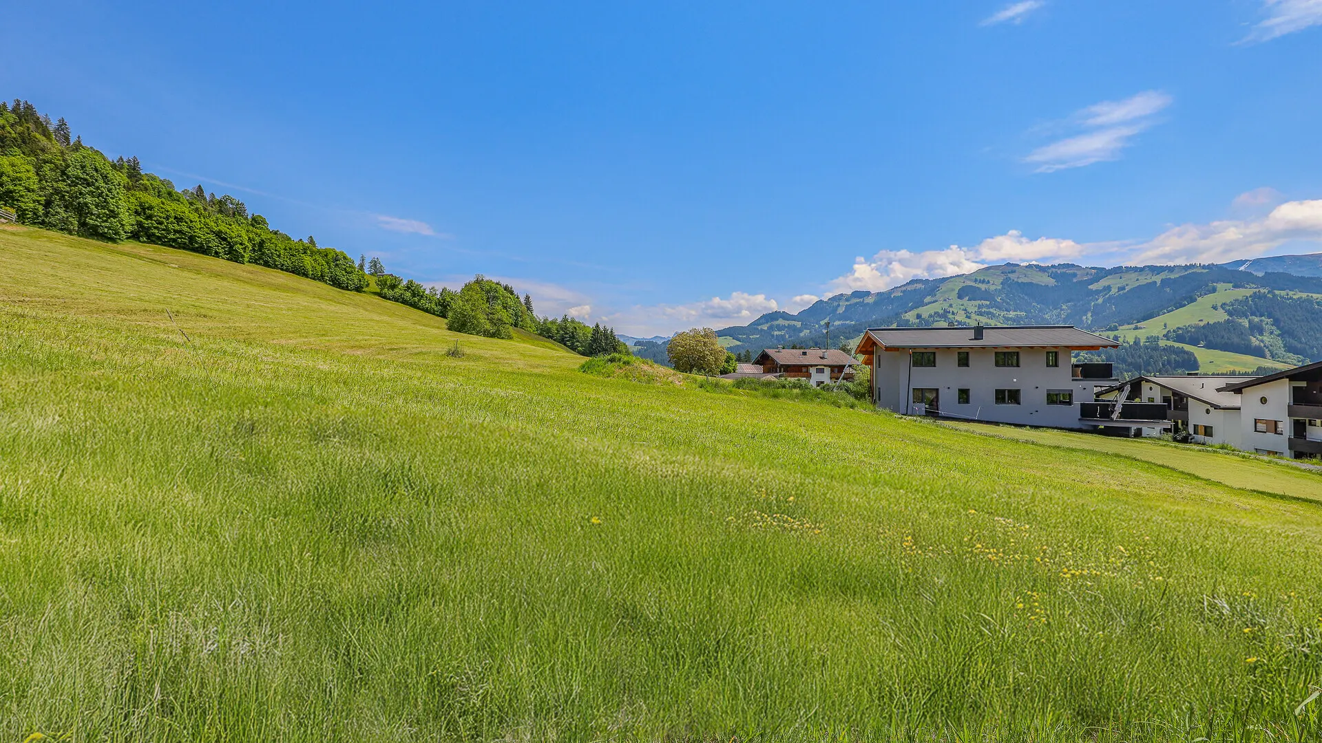KITZIMMO-Luxuswohnungen in Top-Sonnen-Ruhelage kaufen - Immobilien Kirchberg.