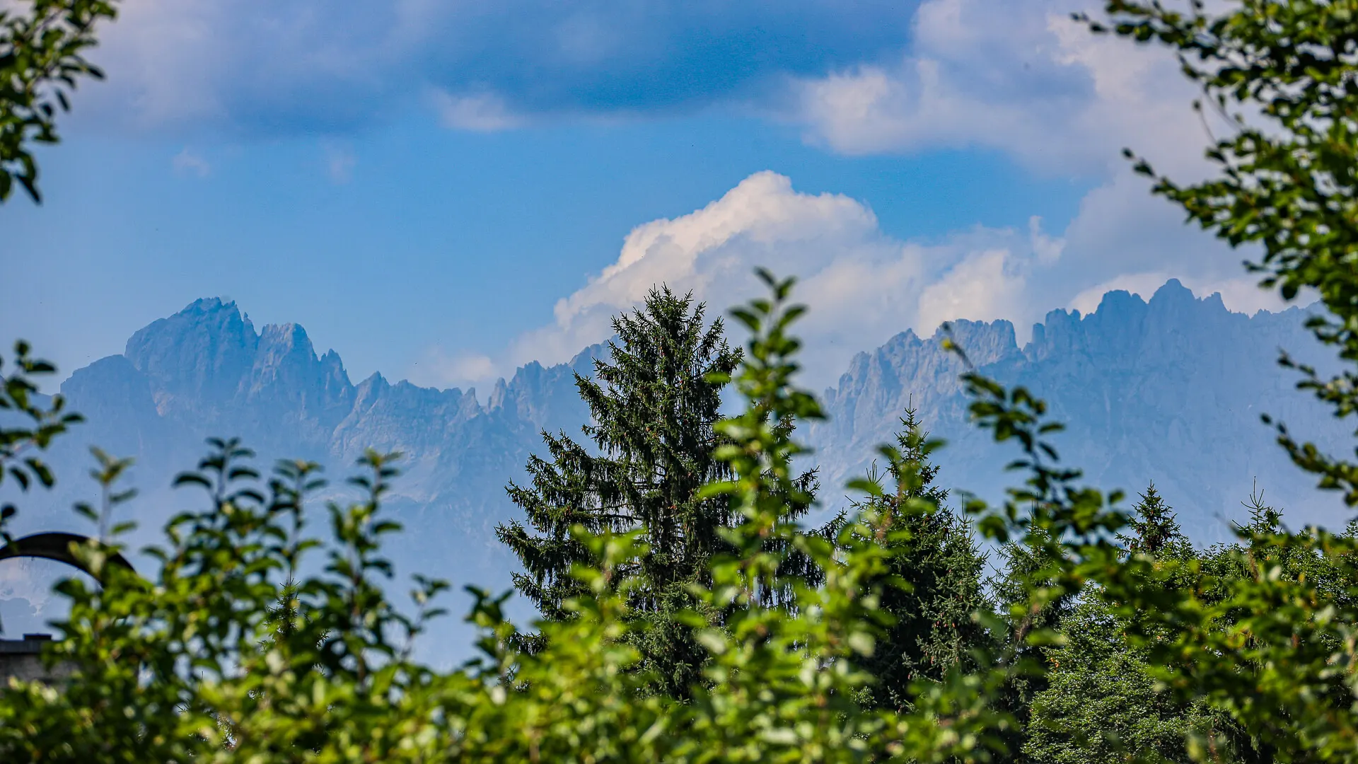KITZIMMO-Baugrundstück mit Altbestand auf der Bichlalm kaufen - Immobilien Kitzbühel.-1-4-9